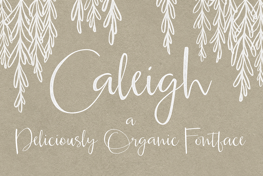 Caleigh Script Font with Bonus in Fancy Fonts - product preview 8