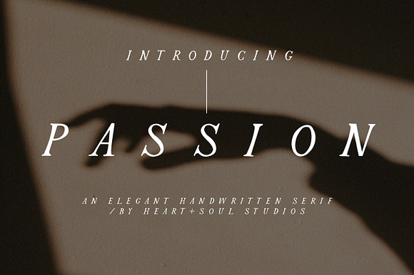 Passion | Romantic Serif in Serif Fonts - product preview 9