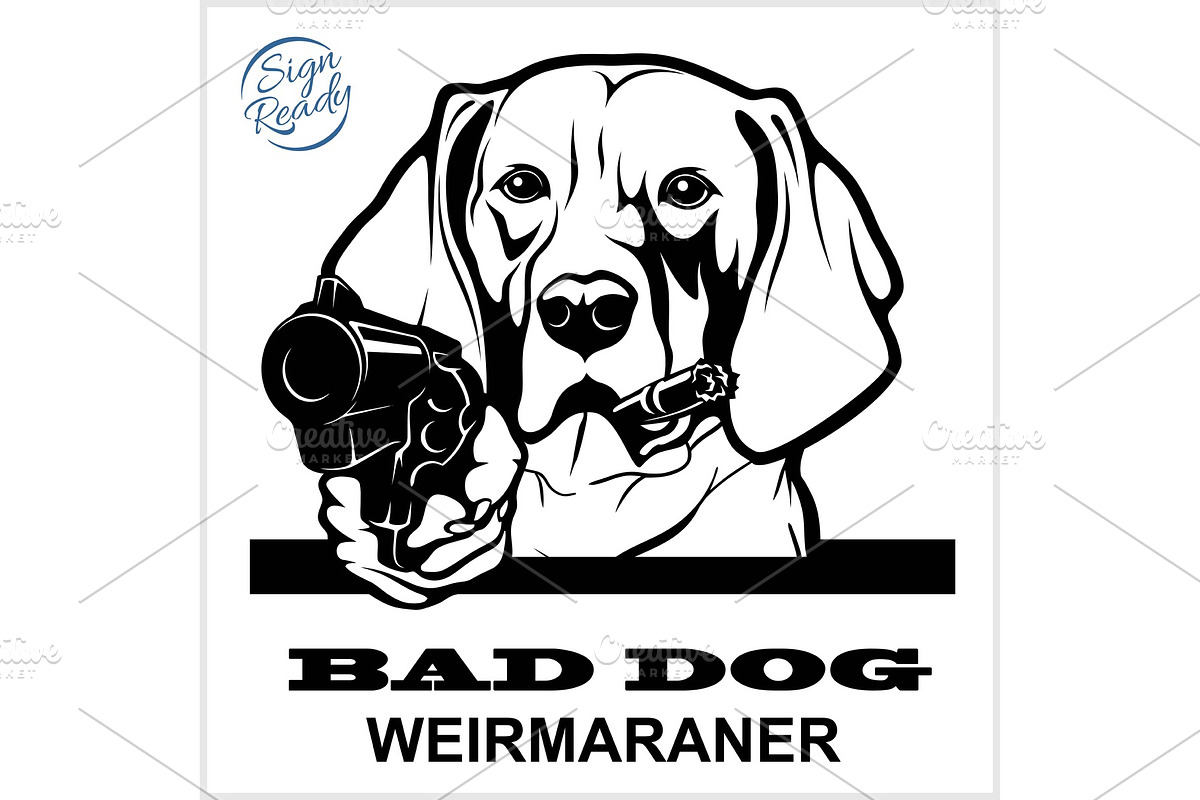 Weimaraner with gun and cigar - in Illustrations - product preview 8