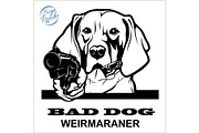 Weimaraner with gun and cigar -