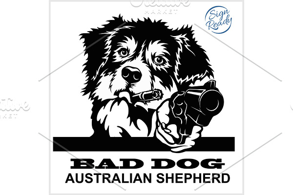 Australian Shepherd with guns -