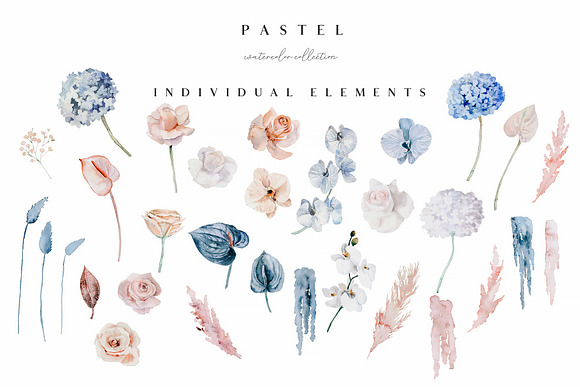 Pastel - watercolor collection in Illustrations - product preview 5