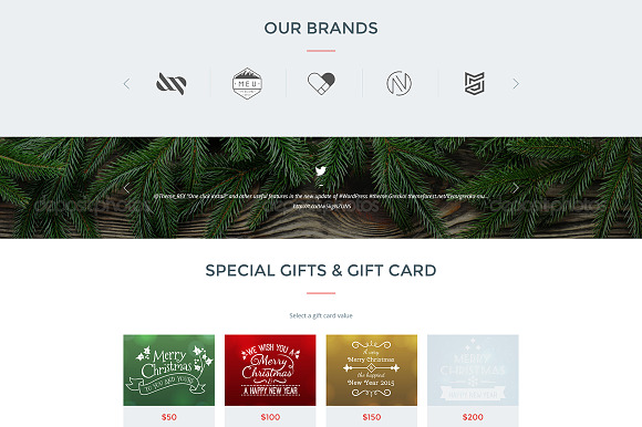 Winter Sale WordPress Theme in WordPress Landing Page Themes - product preview 2