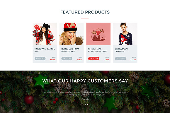 Winter Sale WordPress Theme in WordPress Landing Page Themes - product preview 3