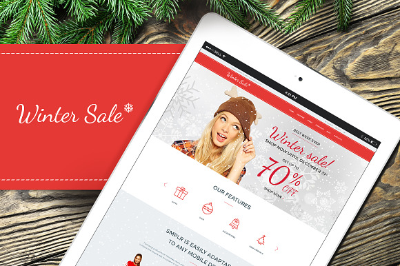 Winter Sale WordPress Theme in WordPress Landing Page Themes - product preview 4