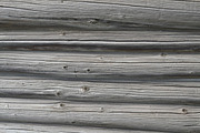 Log Wall Texture. Old Gray Wood