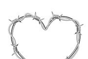 Glossy barbed wire in heart