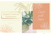 Tropical illustrations and patterns