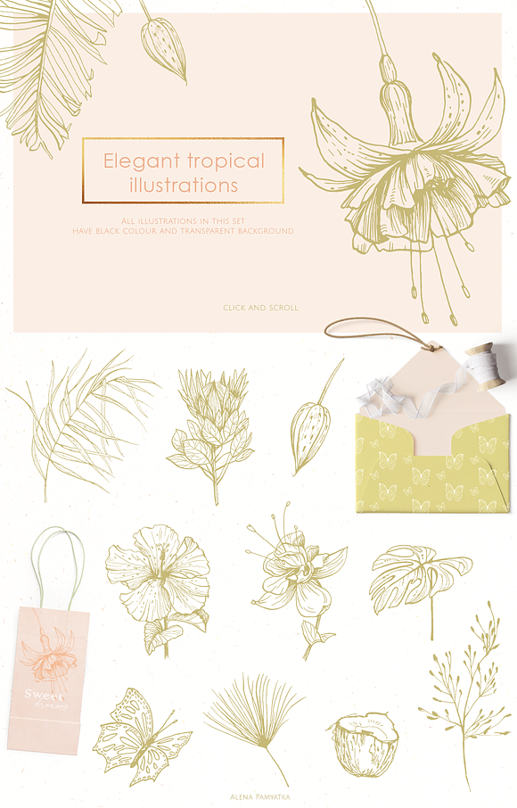 Tropical illustrations and patterns in Illustrations - product preview 1