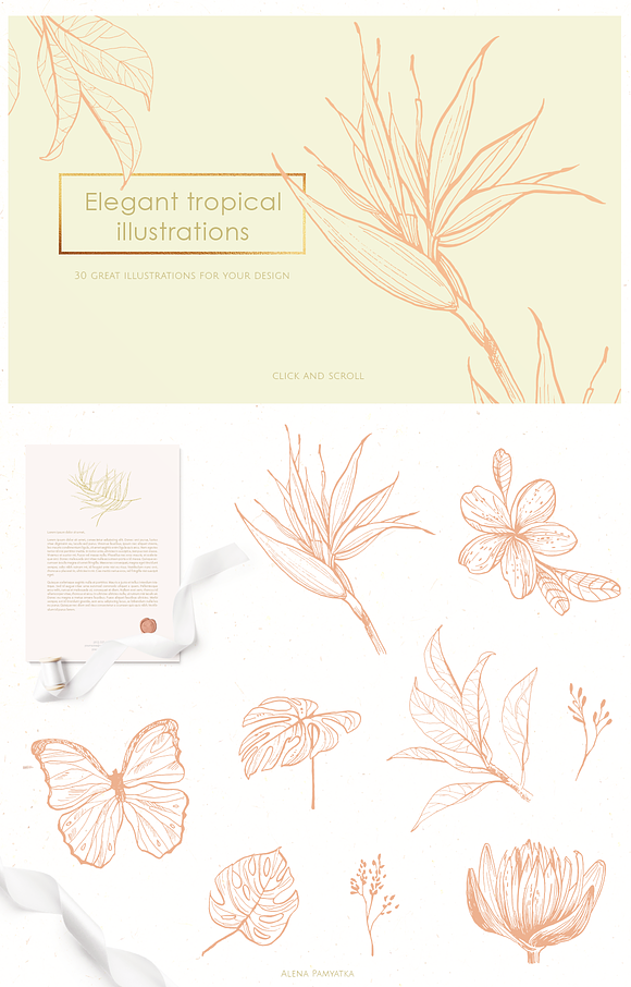 Tropical illustrations and patterns in Illustrations - product preview 2