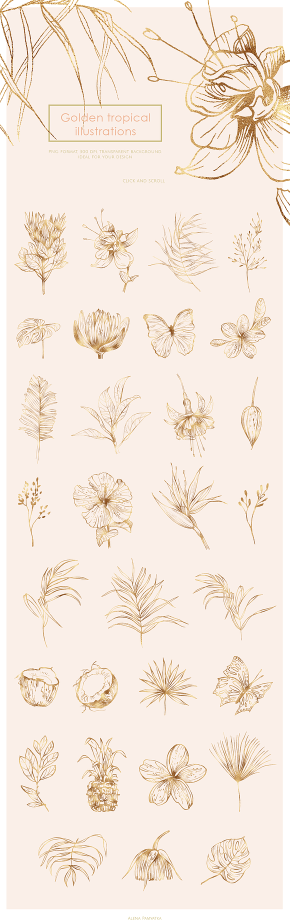 Tropical illustrations and patterns in Illustrations - product preview 3