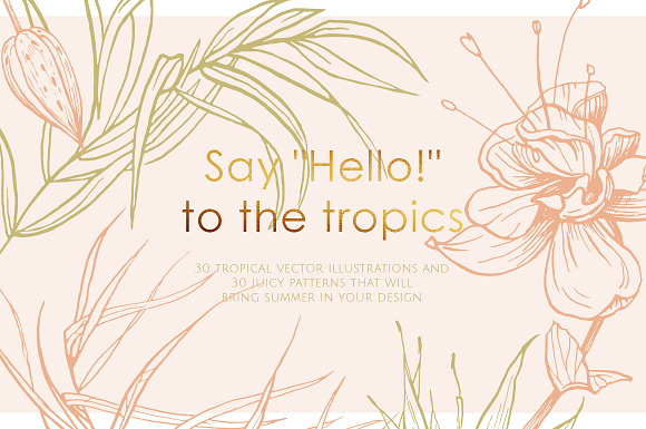 Tropical illustrations and patterns in Illustrations - product preview 10