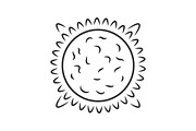 Sun linear icon
