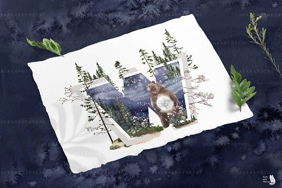 Into The Wild in Illustrations - product preview 27