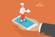 Dish fast delivery