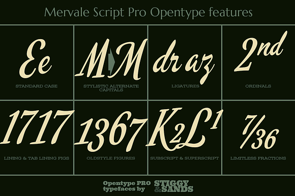 Mervale Script Pro in Script Fonts - product preview 3