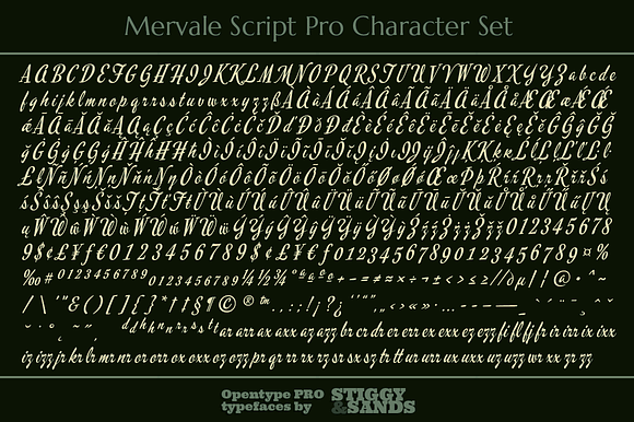 Mervale Script Pro in Script Fonts - product preview 4