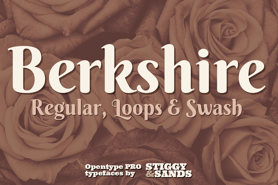 Berkshire Pro Family in Display Fonts - product preview 8