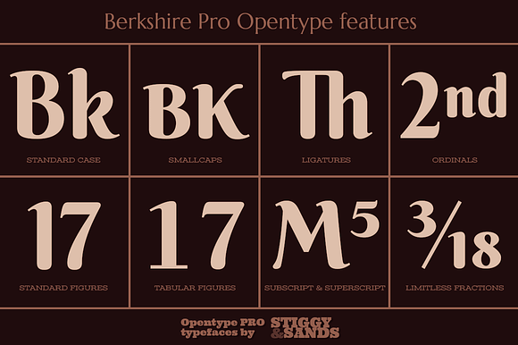 Berkshire Pro Family in Display Fonts - product preview 3