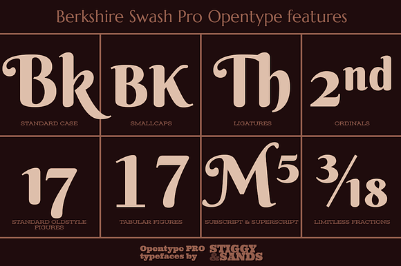 Berkshire Pro Family in Display Fonts - product preview 5