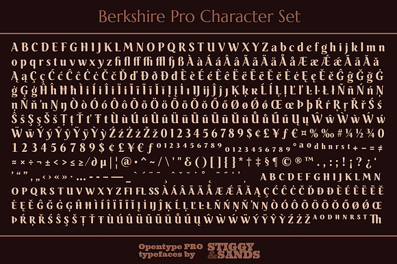 Berkshire Pro Family in Display Fonts - product preview 6