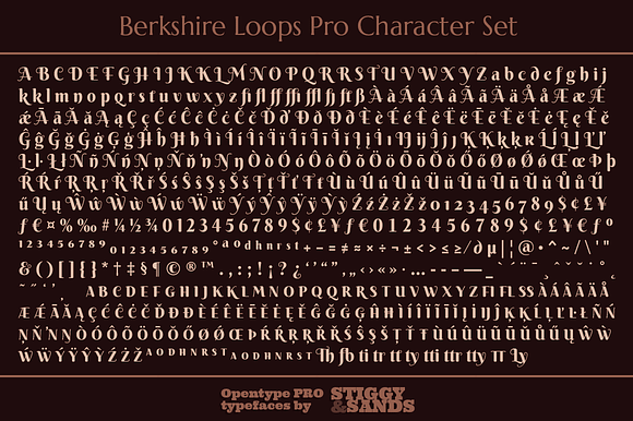 Berkshire Pro Family in Display Fonts - product preview 7