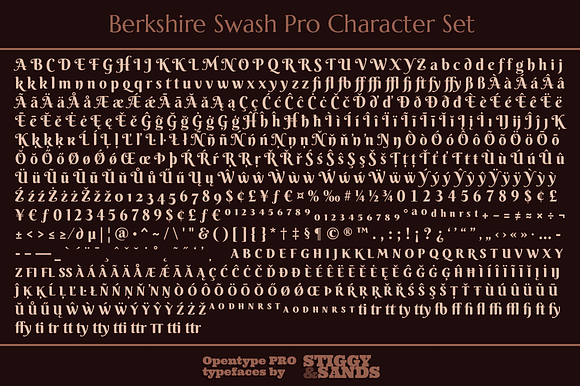 Berkshire Pro Family in Display Fonts - product preview 8
