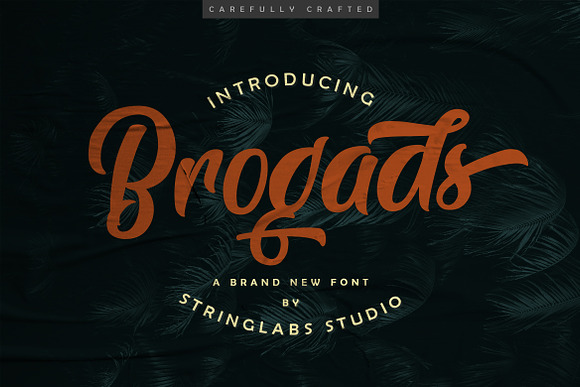 Brogads - Bold Script Retro Font in Script Fonts - product preview 14