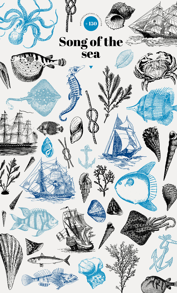 Song of the sea - pattern collection in Patterns - product preview 2
