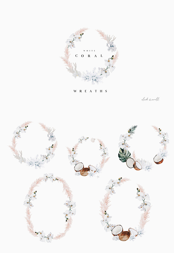 Pastel & White Coral in Illustrations - product preview 17