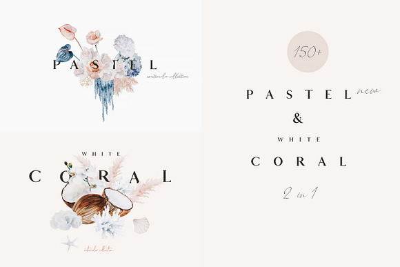 Pastel & White Coral in Illustrations - product preview 20
