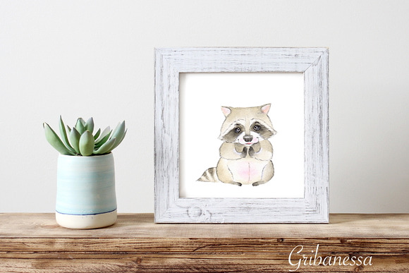 Raccoon. Watercolor set in Illustrations - product preview 6