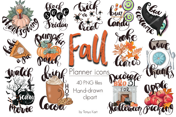 Blossom Bundle 87% off SALE in Illustrations - product preview 5