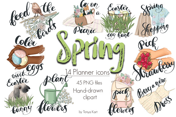 Blossom Bundle 87% off SALE in Illustrations - product preview 15