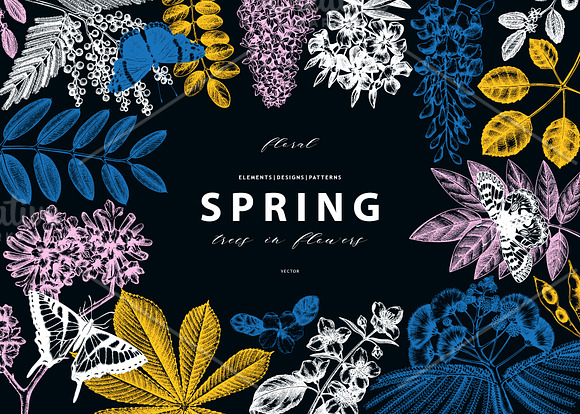 BUNDLE - Spring Vectors & Design in Illustrations - product preview 2