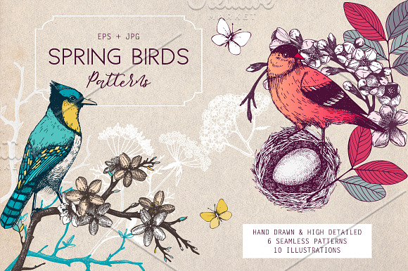 BUNDLE - Spring Vectors & Design in Illustrations - product preview 5