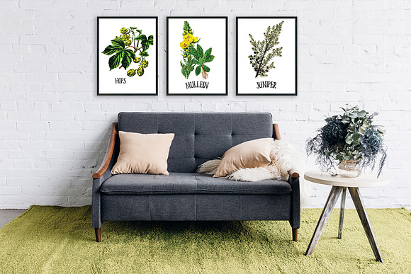 Mullein Medicinal Plant Vector in Illustrations - product preview 2