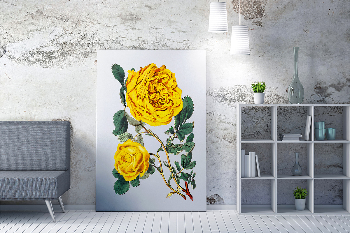 Rose Medicinal Plant Vector in Illustrations - product preview 8