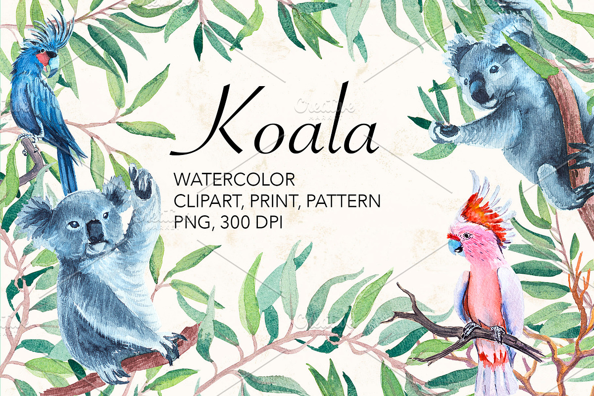 Watercolor koala, parrot, kangaroo. in Illustrations - product preview 8