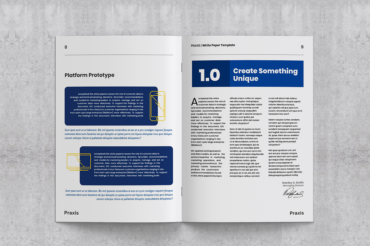 White Paper Template in Brochure Templates - product preview 8