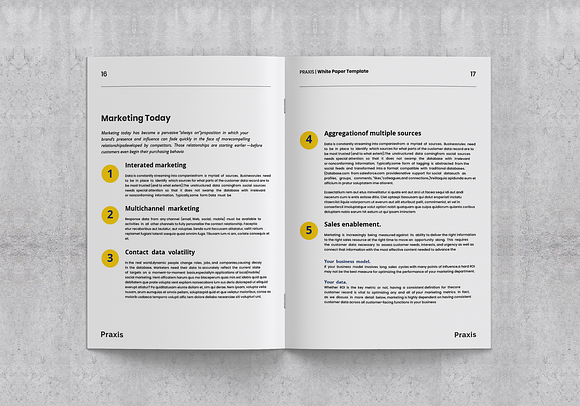 White Paper Template in Brochure Templates - product preview 2