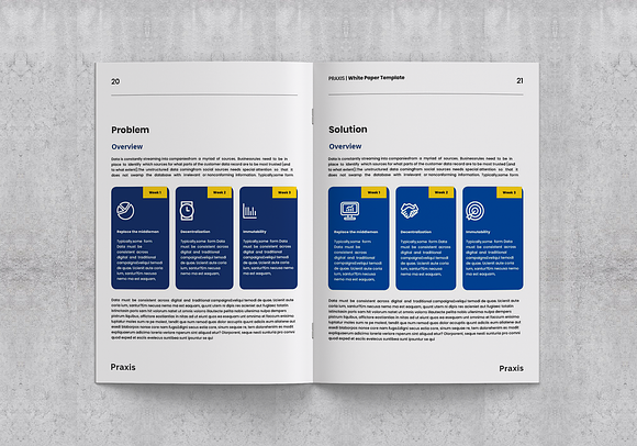 White Paper Template in Brochure Templates - product preview 10