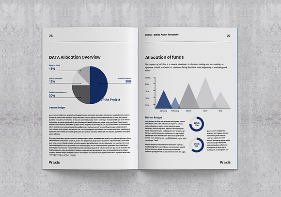 White Paper Template in Brochure Templates - product preview 13