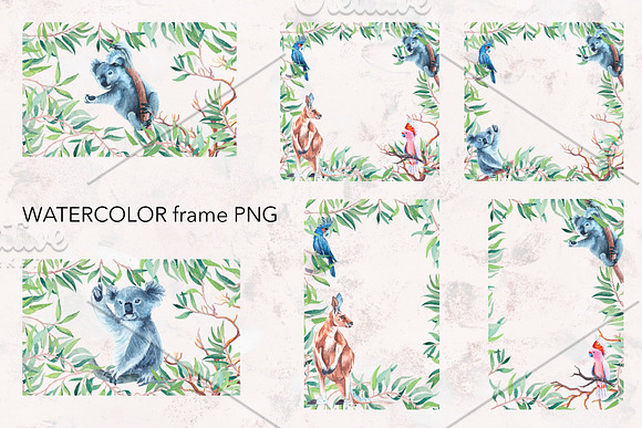 Watercolor koala, parrot, kangaroo. in Illustrations - product preview 2