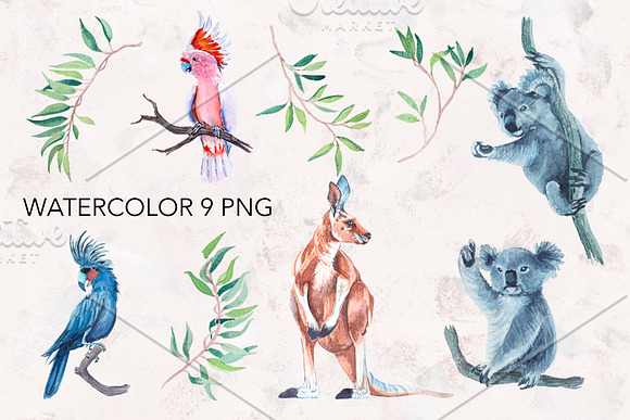 Watercolor koala, parrot, kangaroo. in Illustrations - product preview 3