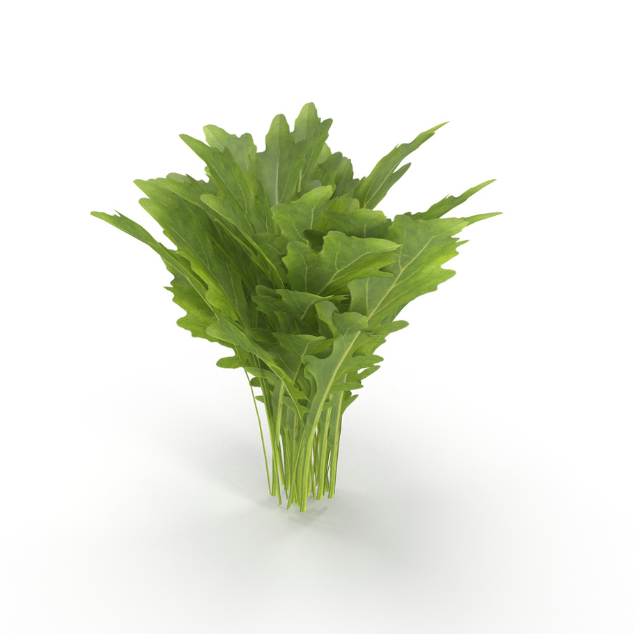 Arugula Bunch in Nature - product preview 1