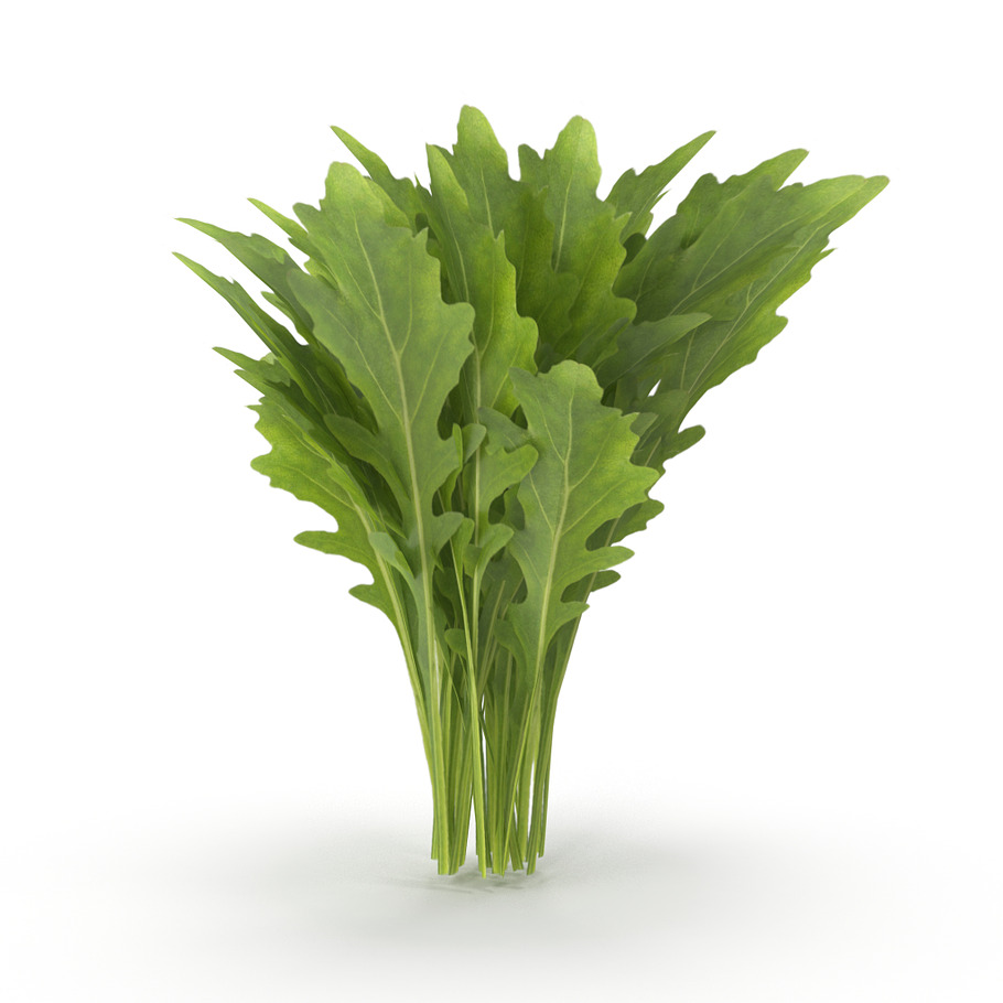 Arugula Bunch in Nature - product preview 2