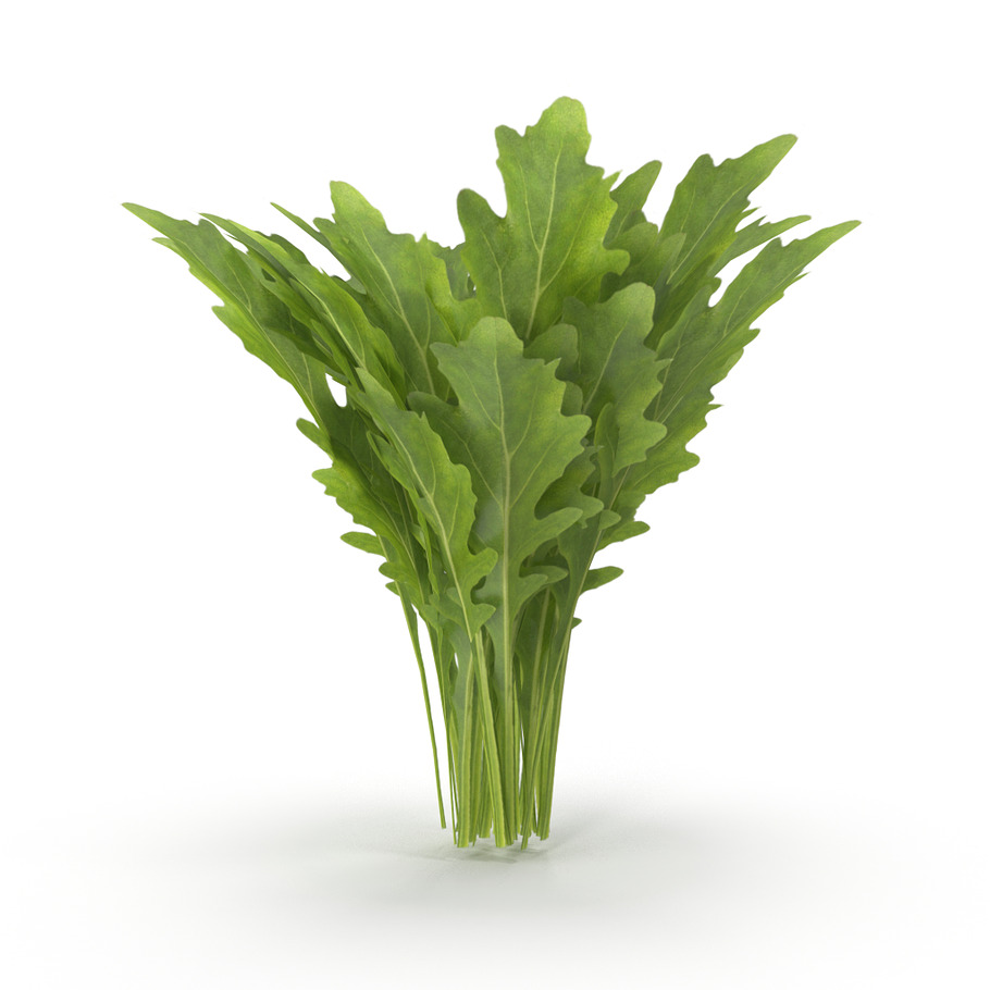 Arugula Bunch in Nature - product preview 3