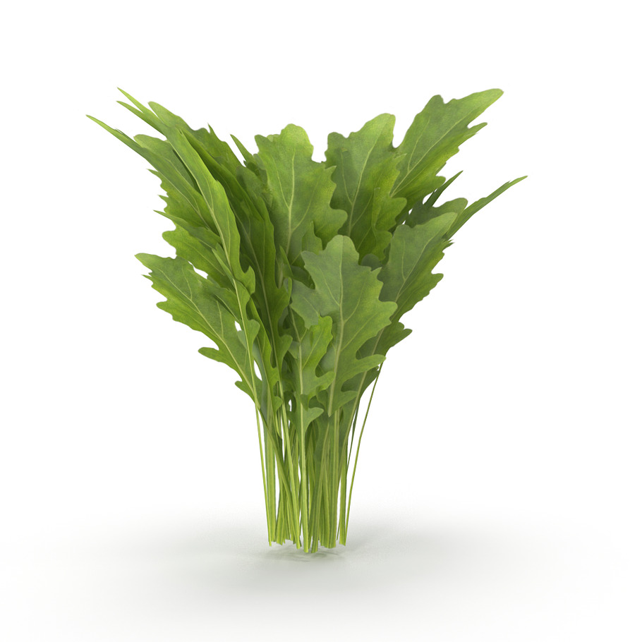 Arugula Bunch in Nature - product preview 5