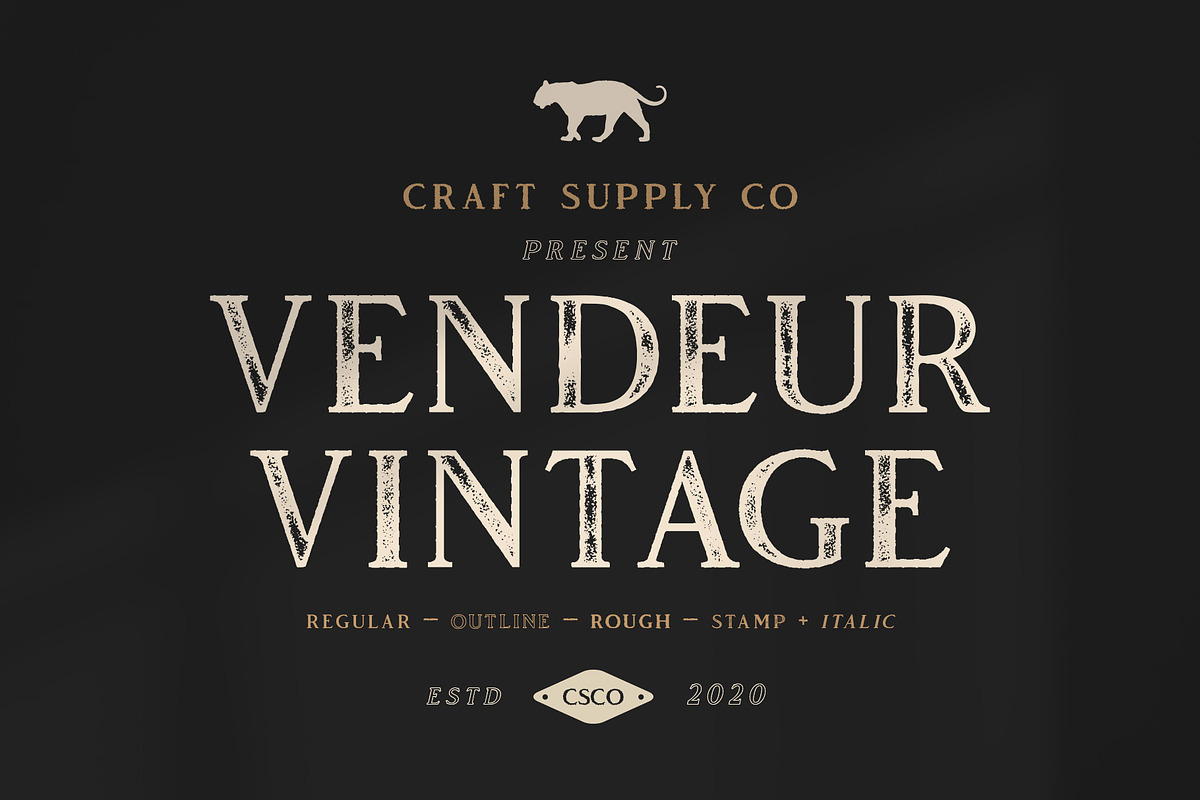 Vendeur Vintage Font Family + Extras in Serif Fonts - product preview 8